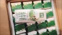 伊利金典双限定娟姗纯牛奶锡林郭勒250ml*12礼盒装3.8g蛋白质 实拍图