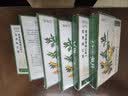 同仁堂北京同仁堂艾草膝盖贴 养生艾灸贴膝盖关节 艾草贴 12贴/盒 实拍图