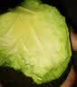 京地达云南牛油果哈斯非即食单果100g*2粒京东自营当季新鲜水果鳄梨包邮 实拍图