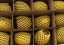 佳沛（zespri）新西兰金奇异果18粒优选果103-124g猕猴桃水果礼盒 实拍图