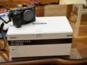 适马（SIGMA）70-200mm F2.8 DG DN OS | Sports 全画幅微单 恒定大光圈变焦镜头70200（索尼E卡口） 实拍图