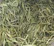 陈一凡 贵州雀舌 2026新茶特级明前茶叶雀舌嫩芽春茶自饮招待袋装250g 实拍图