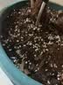 史丹利通用型复合肥1斤 蔬菜用农用种菜果树专用肥料养花化肥有机 实拍图