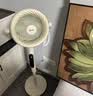美的（Midea）【幸运草安睡2ProMax】家用空气循环扇直流变频静音小型电风扇净化新款落地扇 智能语音遥控3D摇头 实拍图