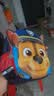汪汪队立大功（PAW PATROL）幼儿园书包可爱男童小班大班幼儿园防泼水超轻儿童透气背包双肩包 实拍图