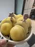 佳沛（zespri）新西兰金奇异果8粒超大果175-204g猕猴桃水果礼盒 实拍图