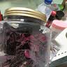 福东海云南墨红玫瑰花干茶30g 花冠王茶【花青素含量高】大朵养生茶 实拍图