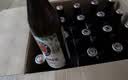 保拉纳（Paulaner）【20万人已购】柏龙 精酿白啤 500ml*20瓶  球赛必备 实拍图