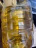 金龙鱼 食用油 非转基因压榨一级玉米胚芽油4L(新老包装随机发货) 实拍图