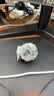 大疆 DJI Mic Mini 迷你无线高品音质降噪领夹麦克风【安卓+苹果151617】手机版两发一收 实拍图