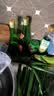 西凤酒 绿瓶盒装省外版 55度  500ml 单盒装 凤香型白酒 实拍图