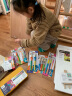 蒙玛特（Mont Marte） 儿童早教印章海绵笔刷滚筒涂颜料工具 手指画颜料DIY绘画画刷 画刷套装（含水粉纸、画笔、调色盘） 实拍图