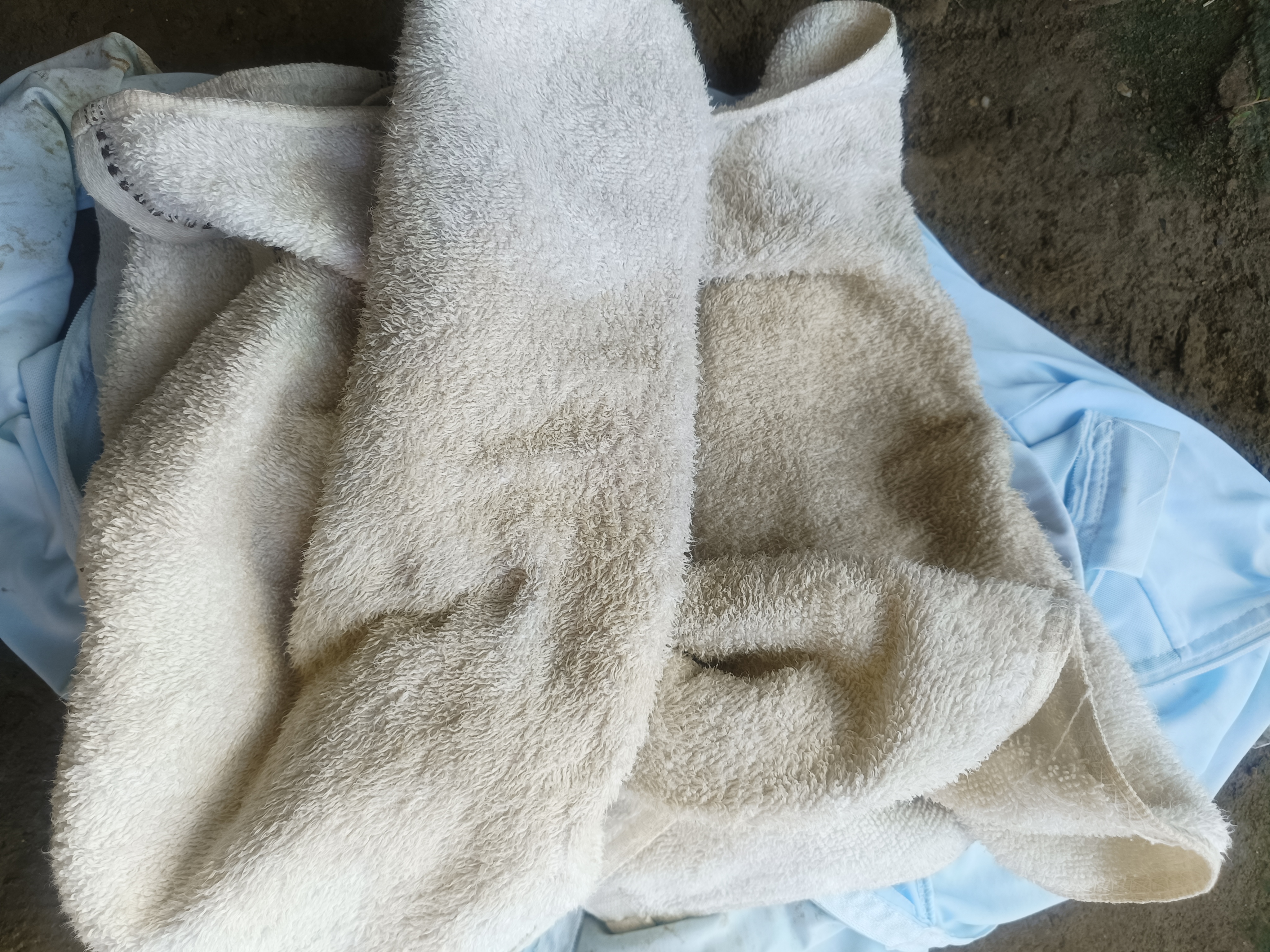 优洁士爆炸盐彩漂粉2.4斤 去黄增白母婴适用抑菌除螨漂白粉校服净 实拍图