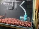 创宁变频潜水泵静音过滤循环潜水泵CN9500-25W 10档流量调节循环抽水 实拍图