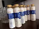 统一（President）希蒂 大红袍牛乳茶 奶茶 450ml*15瓶整箱 实拍图