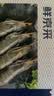 鲜京采 厄瓜多尔白虾 净重3斤/盒 特大号20-30规格   30-45只/盒 实拍图