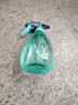 喷壶浇花浇水喷雾器气压式喷水壶家用园艺养花500ml 南瓜喷壶透蓝【1个装】 实拍图