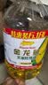 金龙鱼 食用油 非转基因 物理压榨玉米油6.18L（蕴含植物甾醇） 实拍图