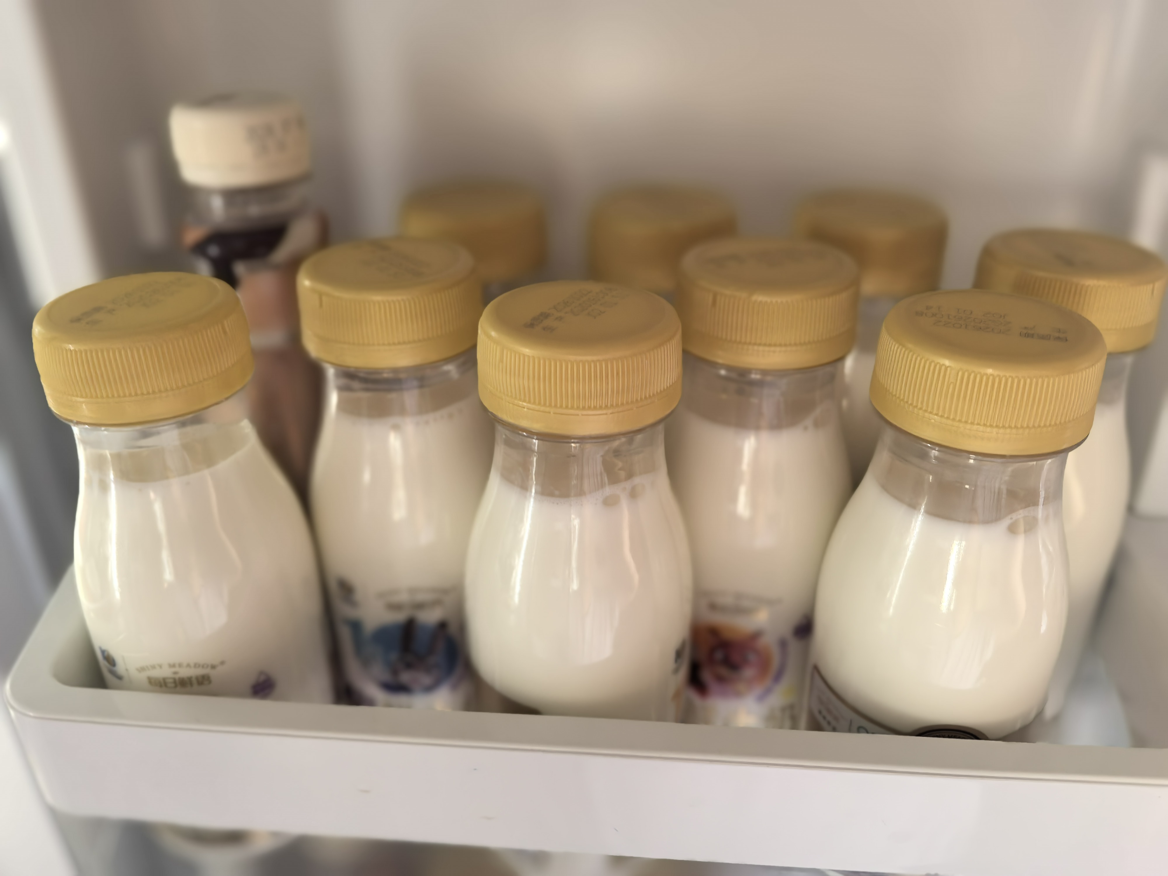 每日鲜语鲜牛奶 A2β-酪蛋白鲜牛奶185ml*6 巴氏杀菌乳 低温鲜奶 实拍图