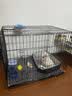 宠乐乖（CHONGLEGUAI）折叠便携狗笼猫笼狗笼子中小型犬带厕所幼犬猫笼子猫咪兔笼850ZG 实拍图