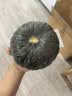 京鲜生内蒙沙漠贝贝南瓜 净5斤(粉糯瓜) 中果300g+辅食 源头直发 实拍图