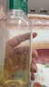 农夫山泉东方树叶绿茶500ml*15瓶无糖茶饮料0糖0脂0卡整箱装饮品 实拍图
