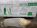 京鲜生山东潍坊萝卜 甜脆水果萝卜 绿青萝卜 净重5斤 出口级礼盒 实拍图
