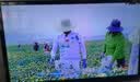 鲸威【0月租免费看电视】网络机顶盒 海思芯片wifi直连电视盒子无线高清投屏播放器全网通 旗舰版【8G高清版+双频5G+蓝牙】 实拍图