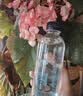 依能天然苏打水 无糖无汽无添加500ml*24瓶塑膜装 弱碱饮用天然水解渴 实拍图