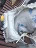 玛嘎星星蕾丝褶皱肩带大学生托特包痛包日系少女大容量单肩斜挎通勤包 白色 实拍图