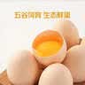 大码鲜鸡蛋1.8kg 实拍图