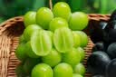 【整箱】新疆无籽露葡萄2kg 实拍图