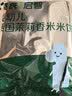 英氏米饼原味婴幼儿宝宝零食 儿童磨牙饼干6个月以上辅食48g哄娃解馋 实拍图