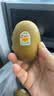佳沛（zespri）金奇异果25-27粒原箱特大果124-146g猕猴桃水果礼盒 实拍图