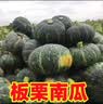 京鲜生山东南瓜组合 净9斤 贝贝南瓜+板栗南瓜各4~5斤 爆粉 源头直发 实拍图