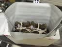 【活蟹】蟹宗鲜活大闸蟹公4.0-4.3两母3.0-3.3两4对8只生鲜螃蟹海鲜节日礼品源头直发 实拍图