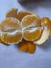 南非Sweet C无核小蜜橘750g 实拍图