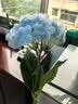 京东鲜花手感保湿绣球花仿真3d打印高档客厅餐桌乔迁摆花装饰假花拍照道具 实拍图