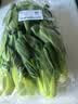 上海青约500g(油菜) 实拍图