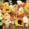 琐拉鲜花速递向日葵玫瑰混搭花束花篮生日礼物全国同城配送 香槟向日葵混搭手提花篮 实拍图