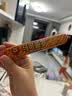 双汇马可波罗特级火腿肠香肠100g*8支休闲零食出游烧烤速食泡面搭档 实拍图