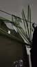 衣架成人加粗防滑加厚学生宿舍无痕挂衣架家用衣服晾衣架撑子衣挂 46cm加粗平肩带钩（四季款） 10支装（颜色随机） 实拍图