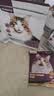 网易严选全价冻干双拼猫粮3.0 猫干粮成猫幼猫通用高鲜肉粮 自营金选1.8kg 实拍图
