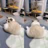 尾巴生活彩虹泥猫咪主食猫条12g*6 成猫幼猫全价猫湿粮罐头鲜肉补水猫零食 实拍图