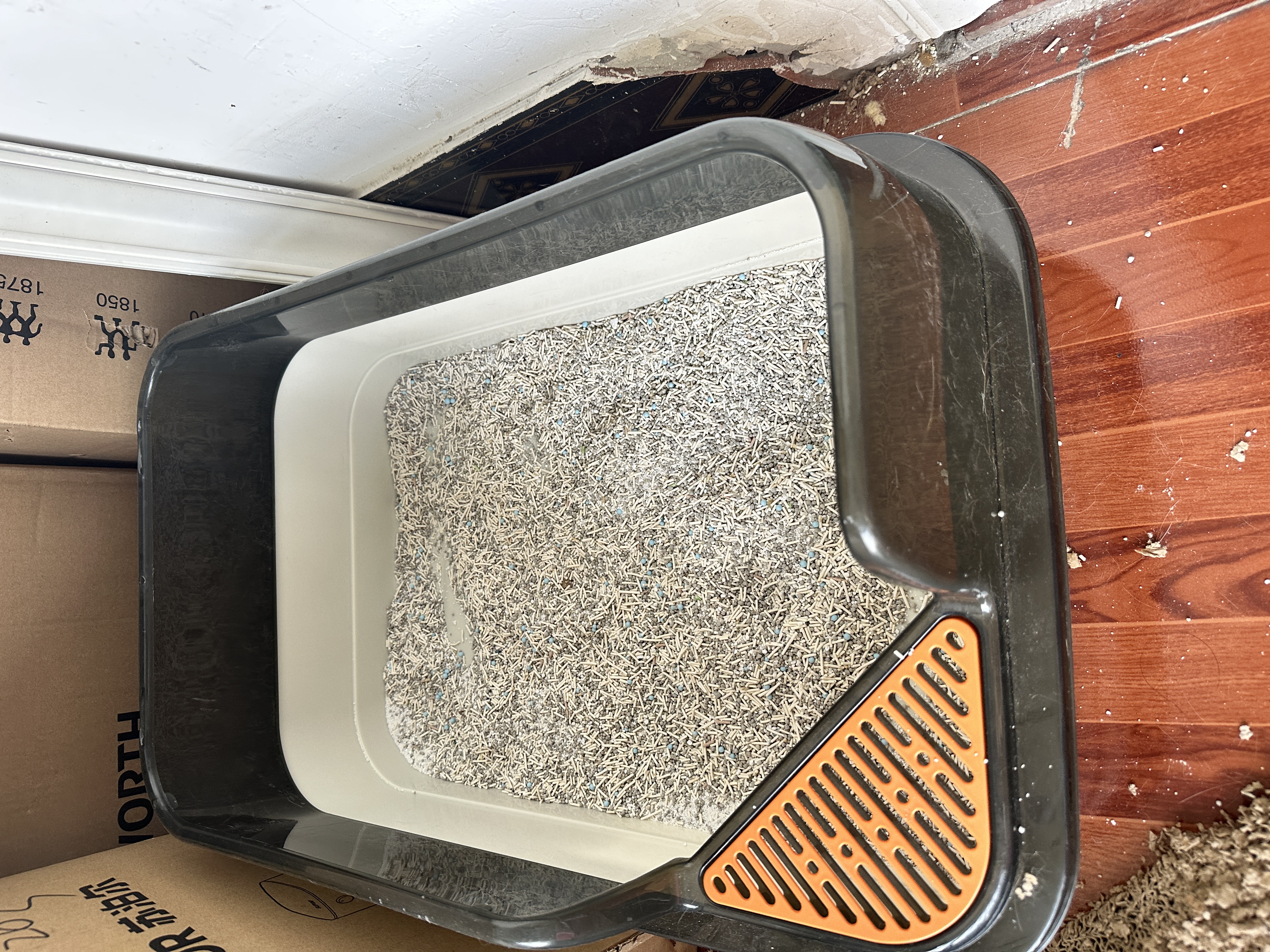 HELLOJOY猫砂盆特大号 60cm半封闭式猫厕所防外溅猫沙盆猫屎盆带猫砂铲 实拍图