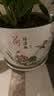 裕轩堂花盆陶瓷梅兰创意特大号简约绿萝吊兰阳台室内多肉托盆家用带托盘 82088-荷叶 特大直径21左右 实拍图