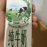 伊利【新鲜日期】金典纯牛奶早餐奶250ml*16盒3.6g 礼盒装 实拍图
