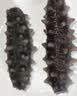1号会员店（One's Member）大连冷冻海参有机辽参固形物含量大于85%13-17只 500g 实拍图
