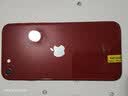 Apple/苹果 苹果 iPhone 17/16/15/14/13/12/11/X系列二手手机 规格见质检报告 苹果 iPhone SE 3 实拍图