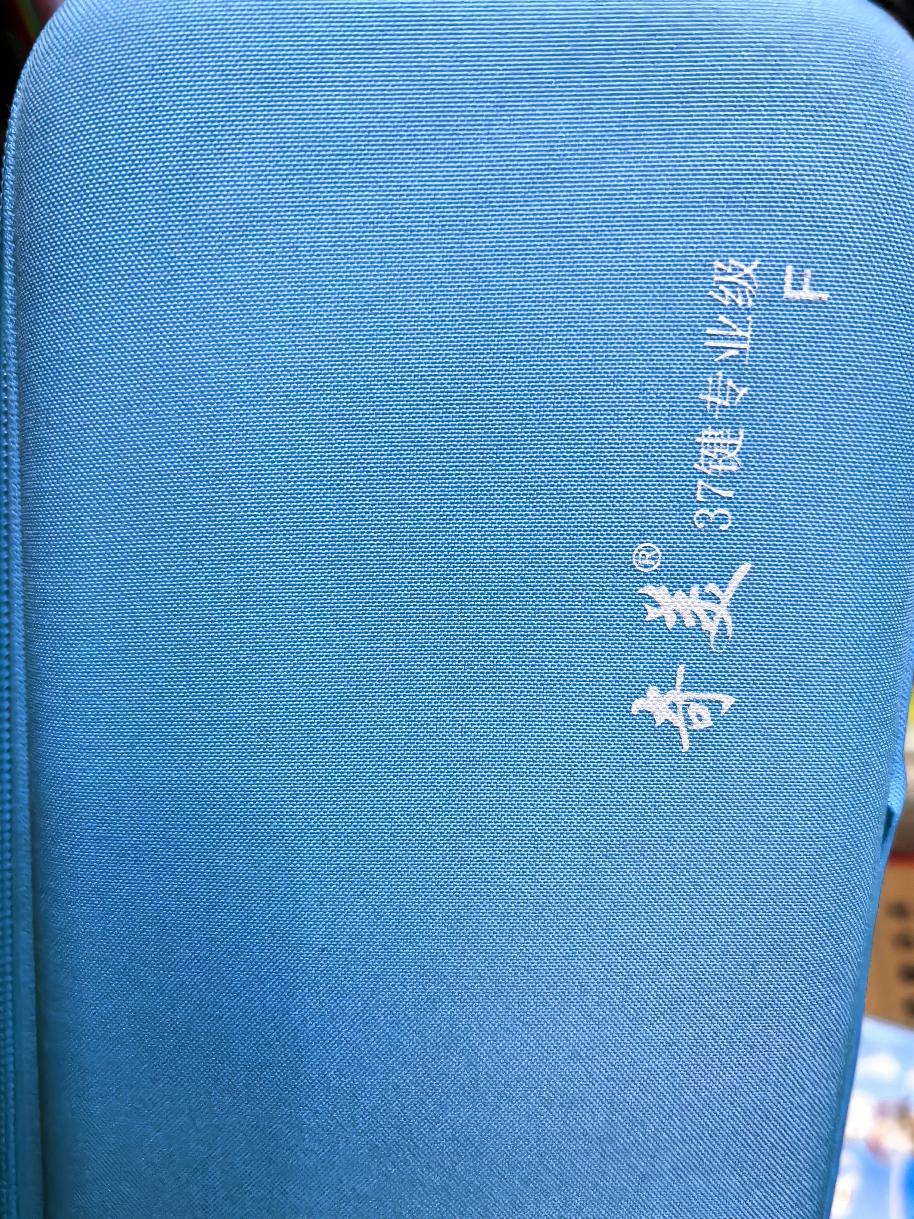 奇美37键专业级马卡龙色学生成人口风琴（马卡龙蓝、赠音符贴及吹管） 实拍图